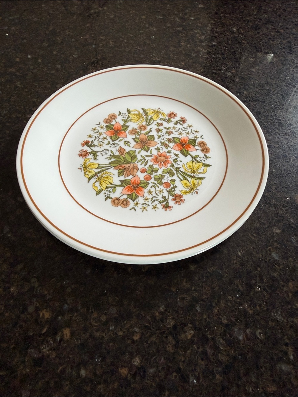 Vintage Corelle Indian Summer luncheon Plate set of 2